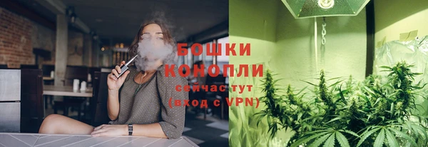 марки lsd Бородино