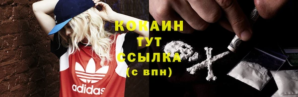 крисы Верея