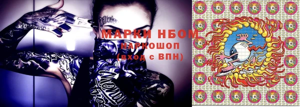 сатива Бронницы
