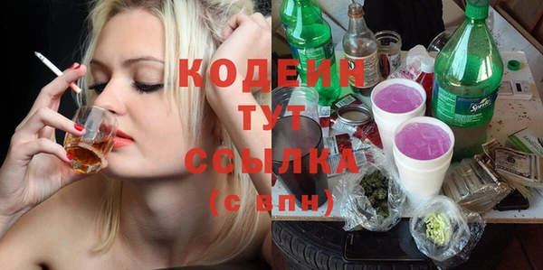 молекула духа Богданович