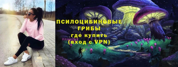 сатива Бронницы
