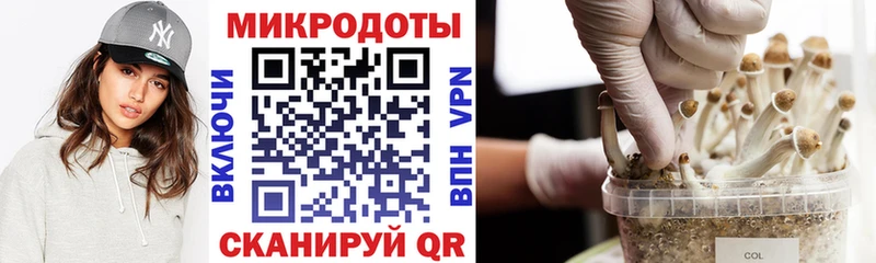 Галлюциногенные грибы Cubensis  Гаврилов-Ям 